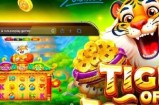 警惕虚假JDB糖豆下载信息保护个人财产与账号安全