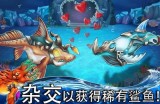 JDB弹弹乐活动带来欢乐弹射体验与趣味挑战新玩法